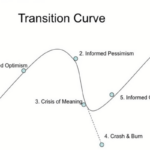 Roller-Coaster of Building a Startup